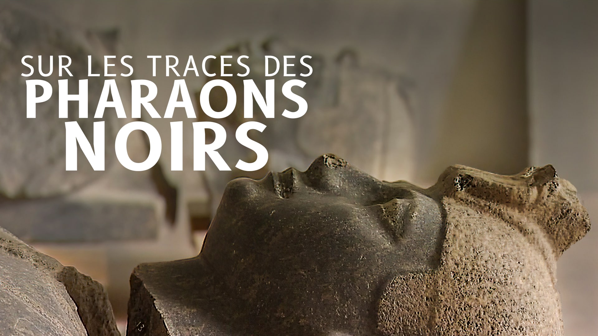 Sur les traces des pharaons noirs