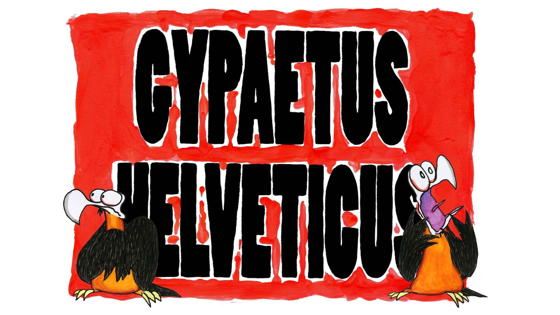 Gypaetus Helveticus