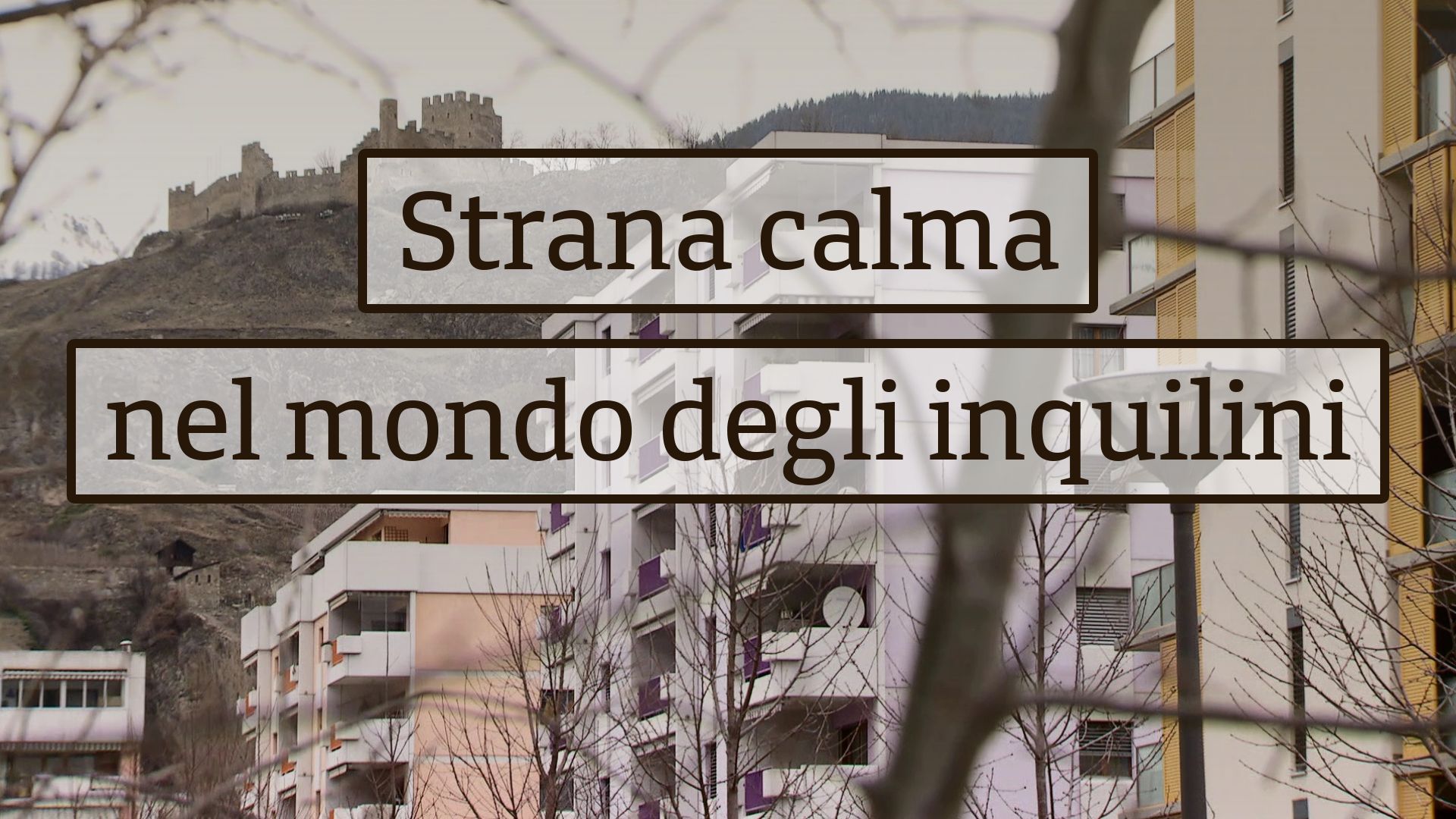 Strana calma nel mondo degli inquilini