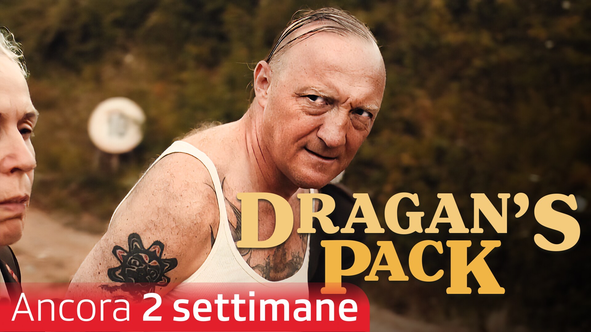 Dragan's Pack