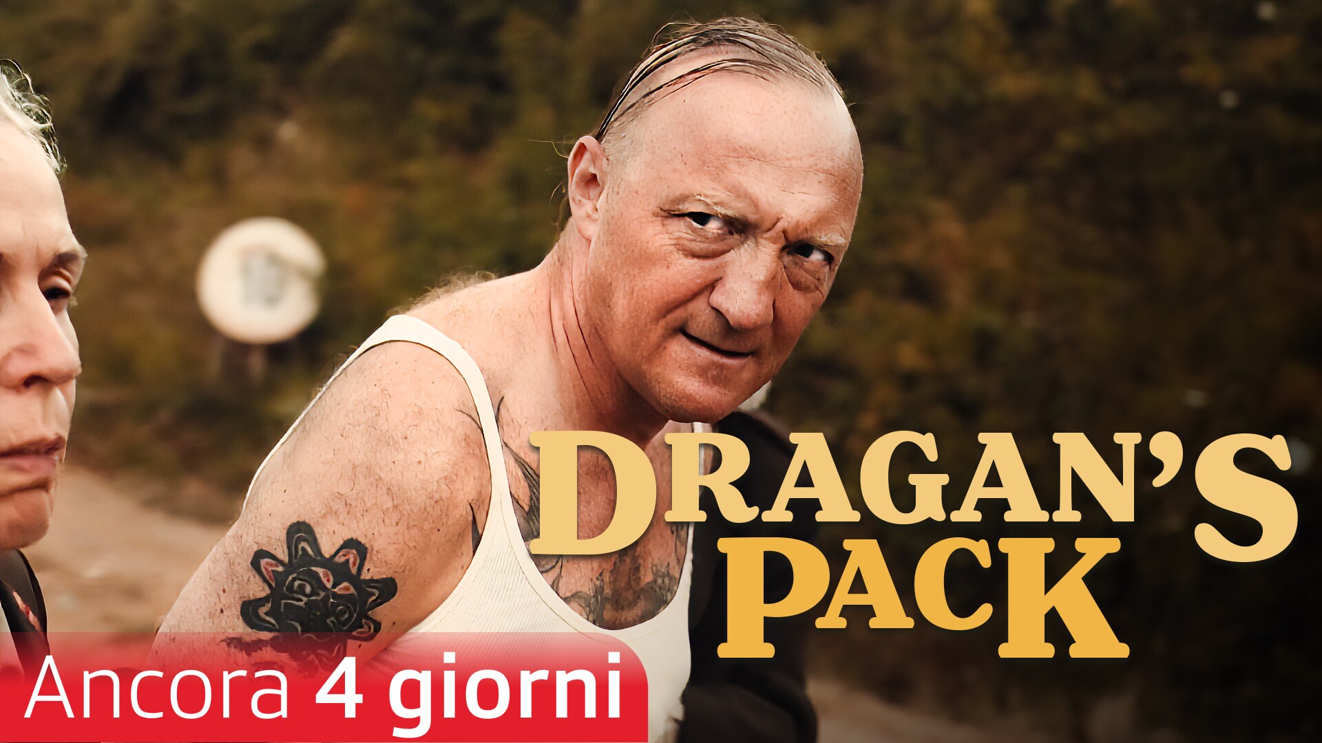 Dragan's Pack
