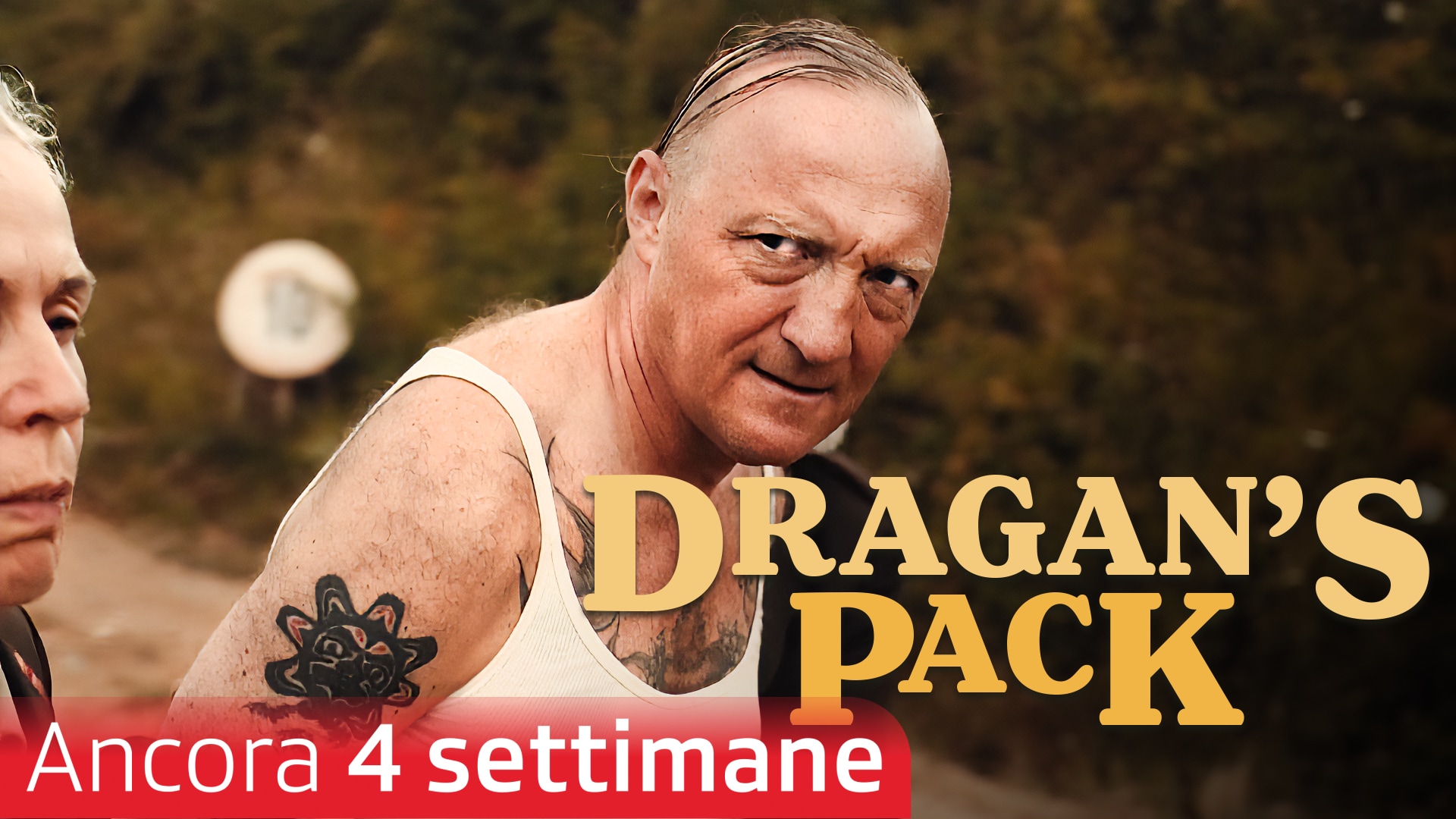 Dragan's Pack