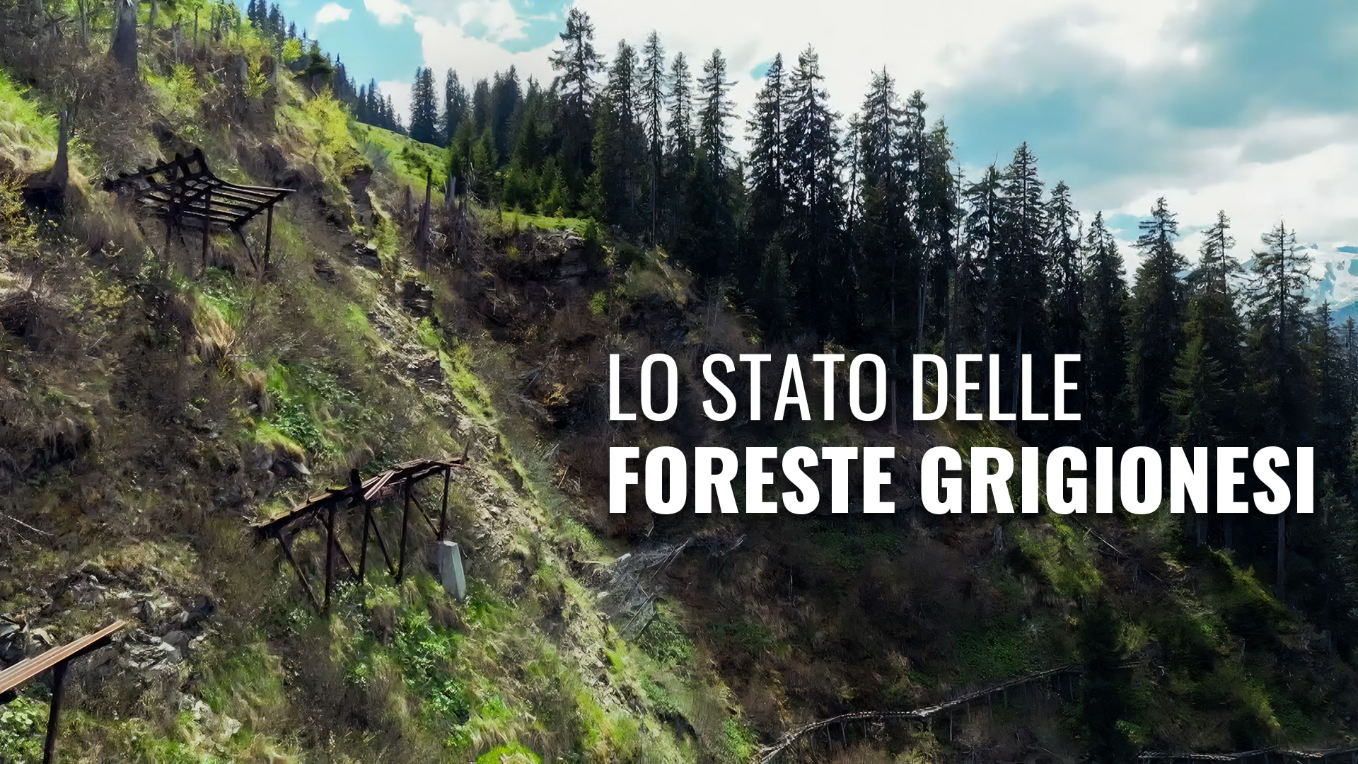 Lo stato delle foreste grigionesi