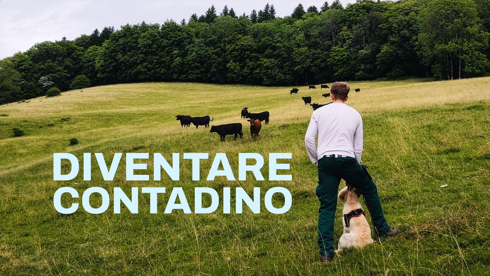Diventare contadino