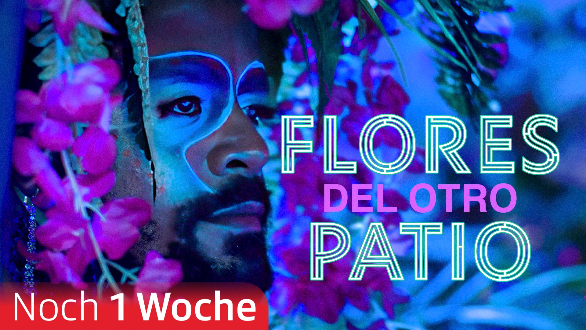 Flores del otro patio