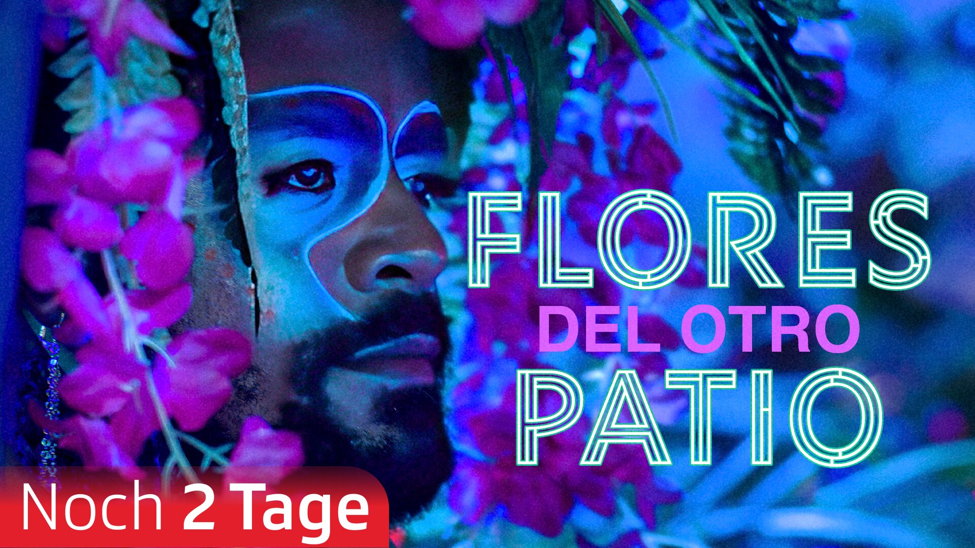 Flores del otro patio