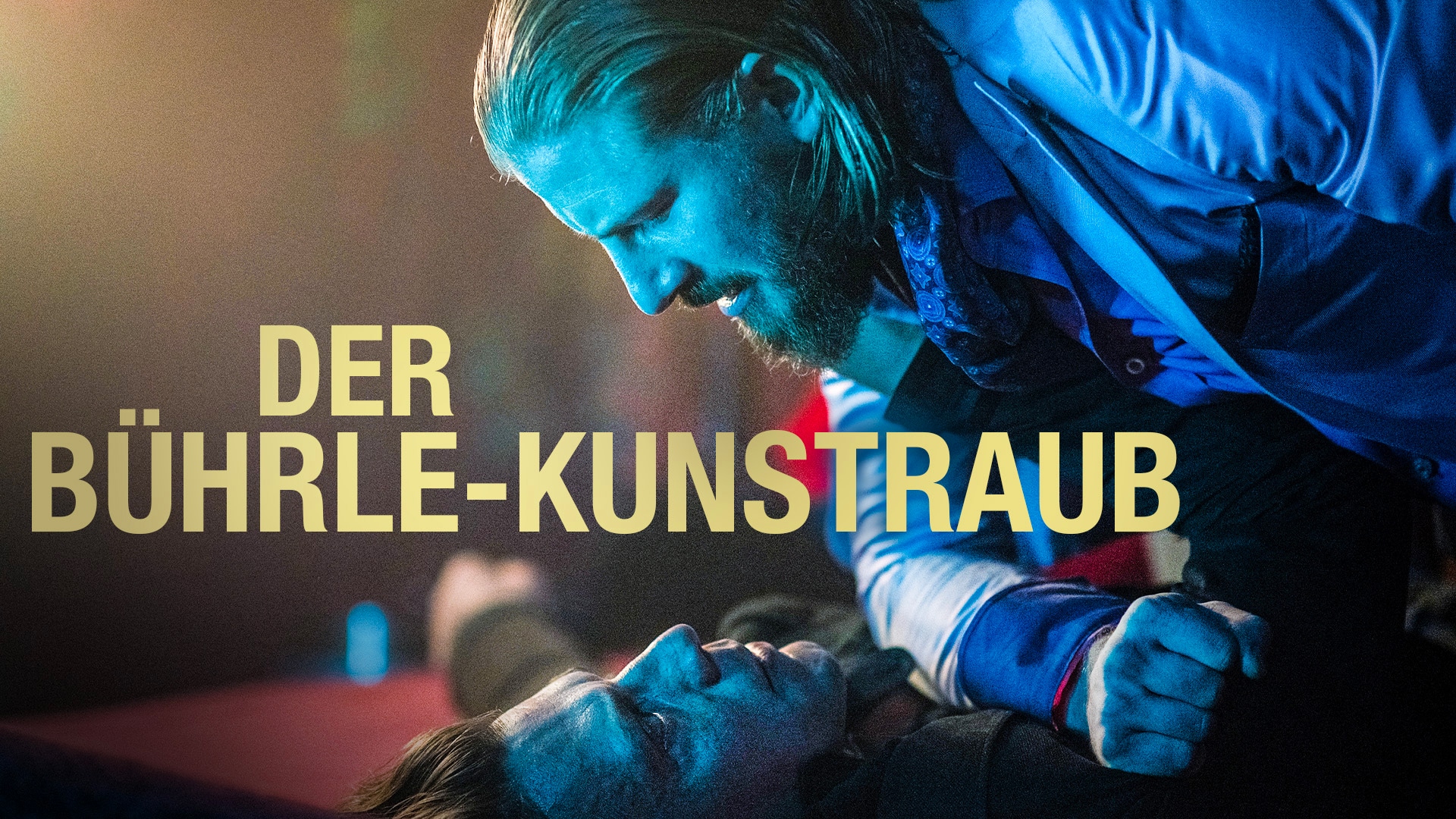 Der Bührle-Kunstraub