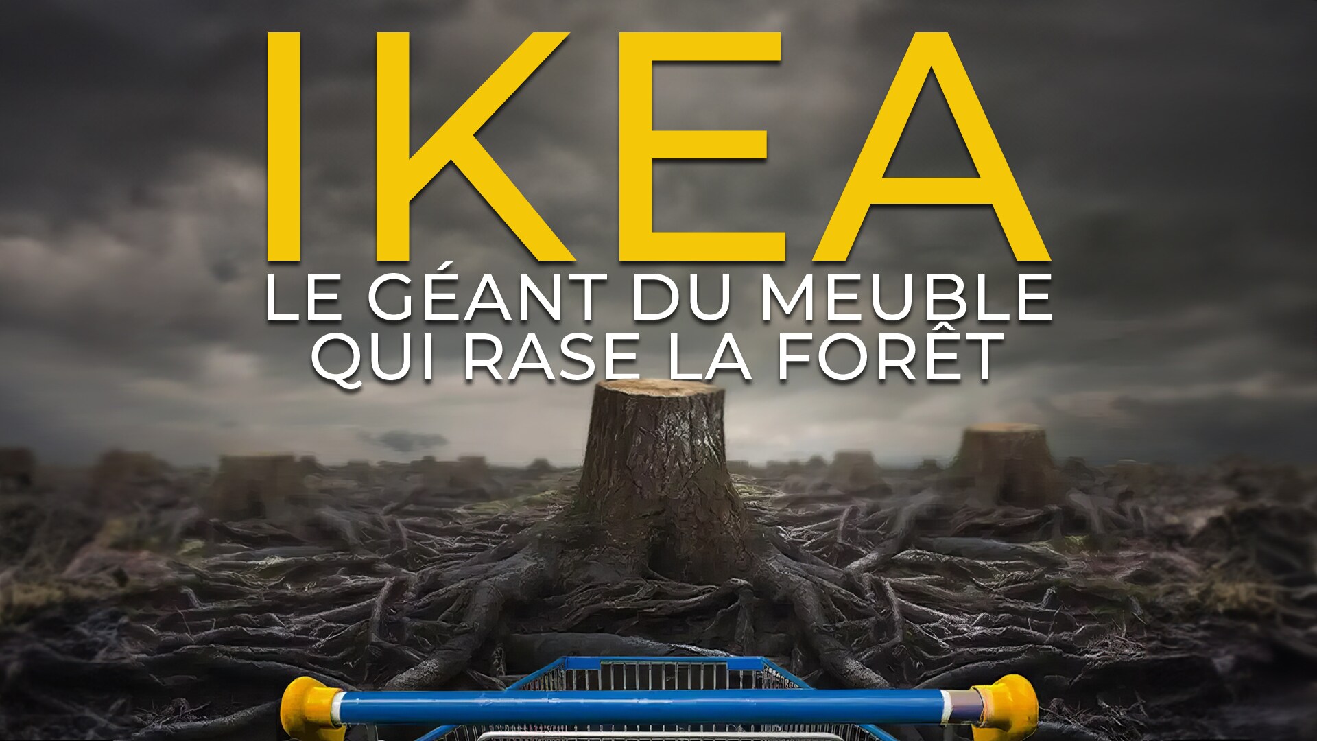 Ikea, le géant du meuble qui rase la forêt