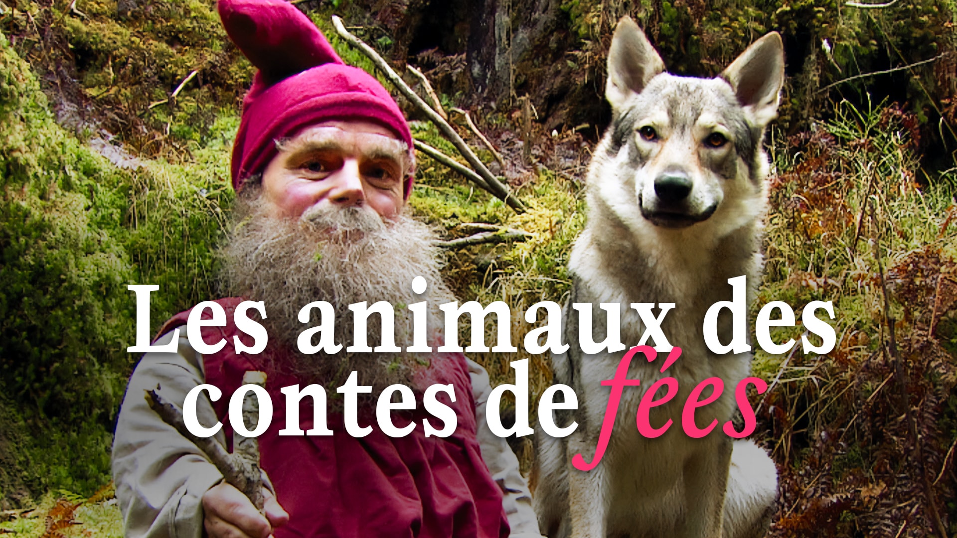 Les animaux des contes de fées