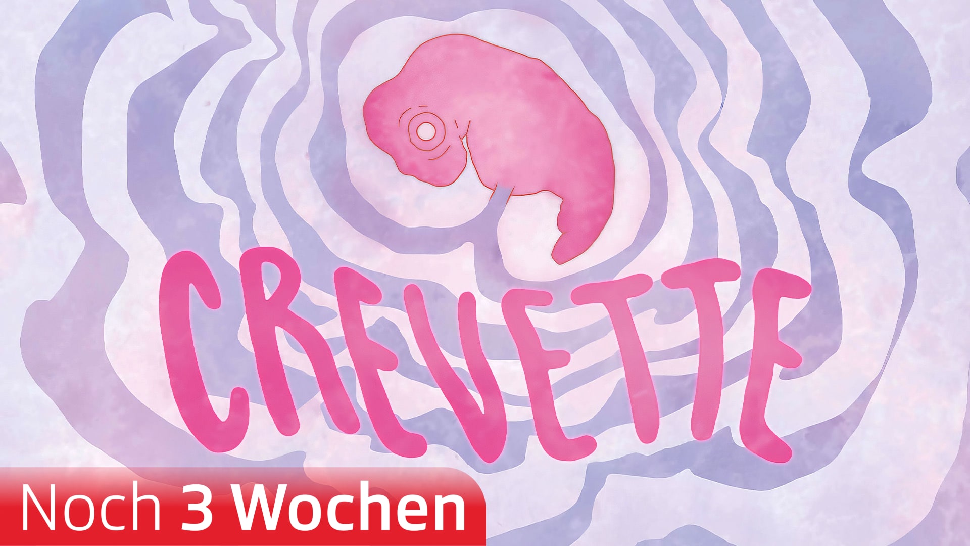 Crevette