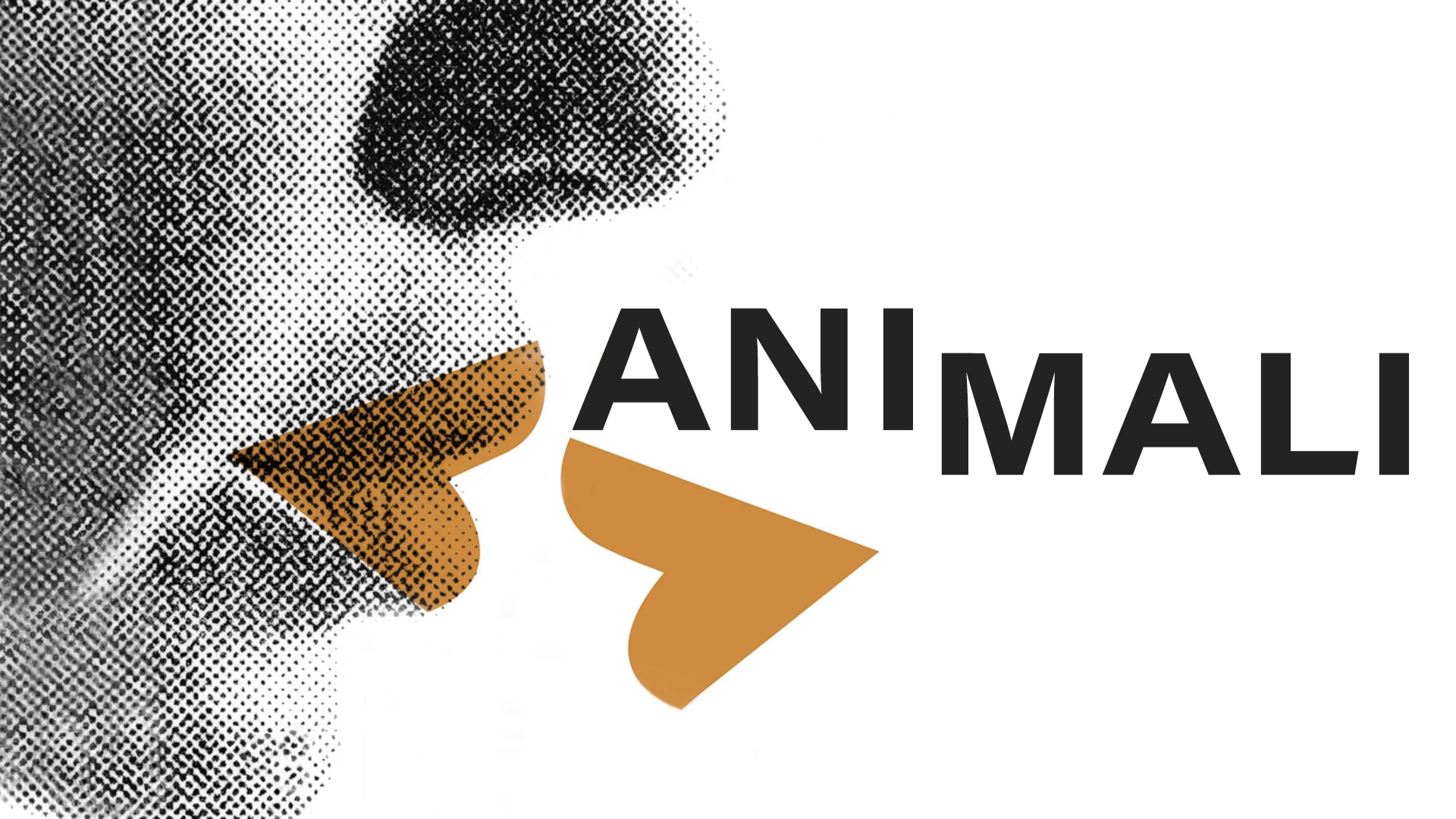 Animali