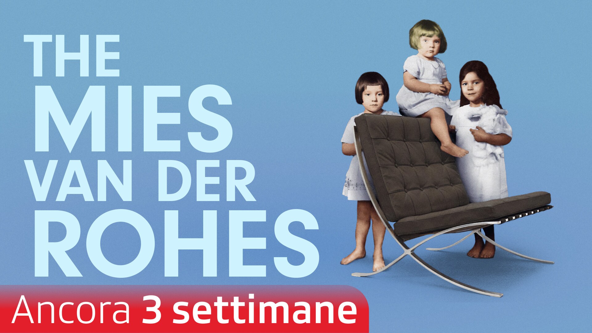 The Mies van der Rohes
