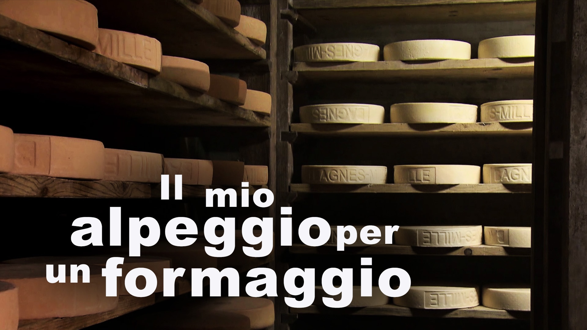 Il mio alpeggio per un formaggio