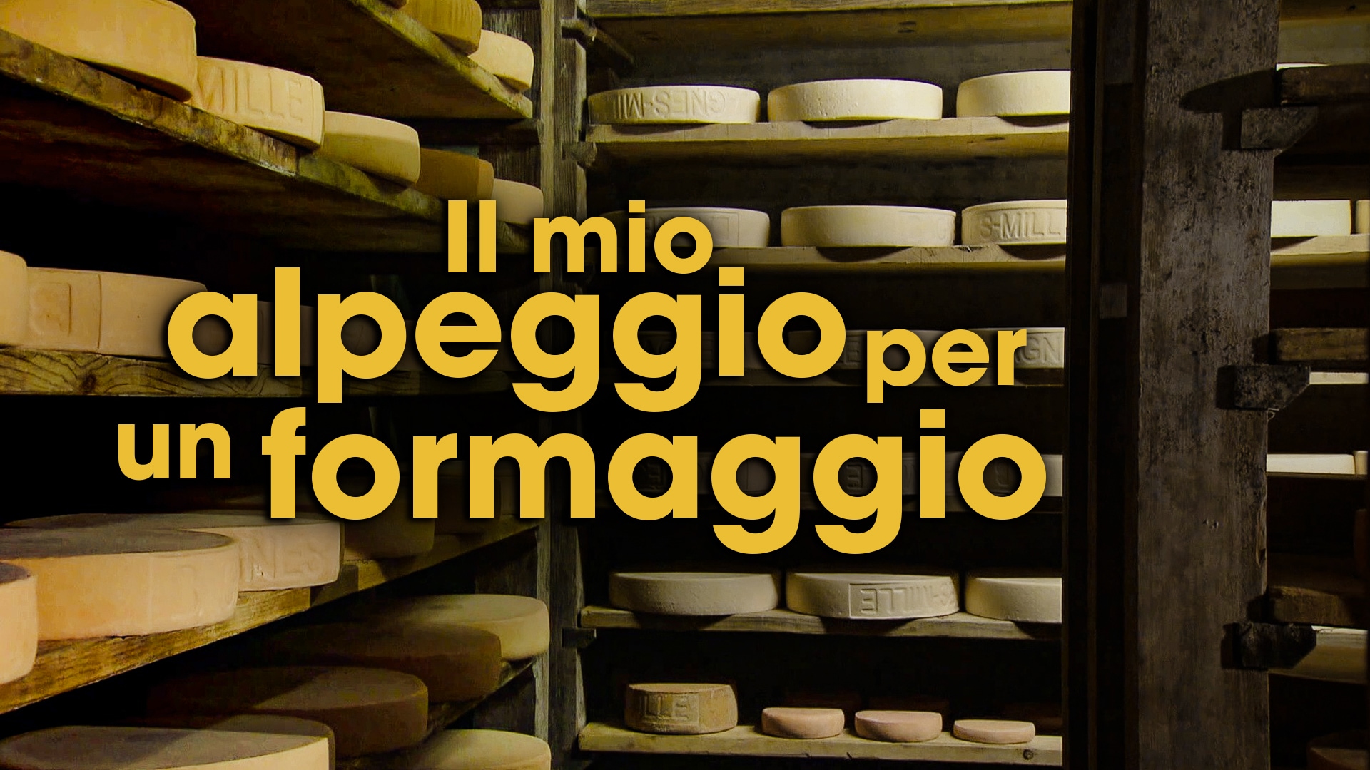 Il mio alpeggio per un formaggio