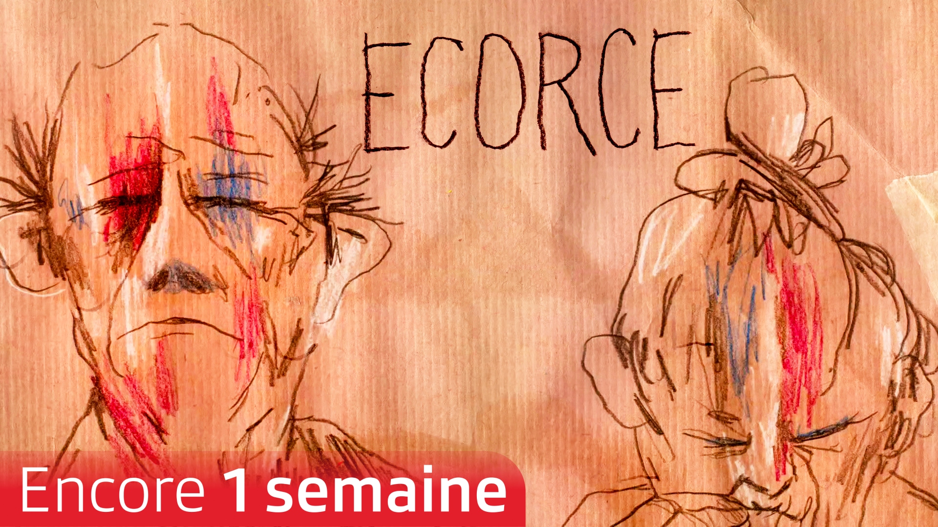 Écorce