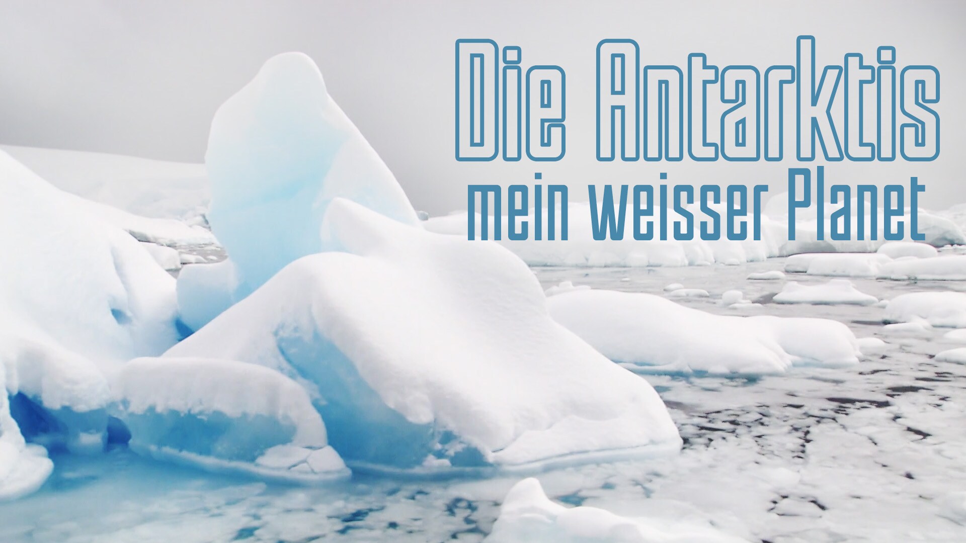 Die Antarktis – mein weisser Planet 