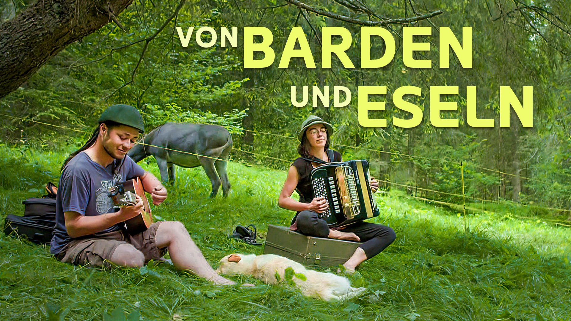 Von Barden und Eseln