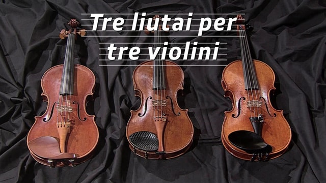 Drei Geigenbauer für drei Violinen