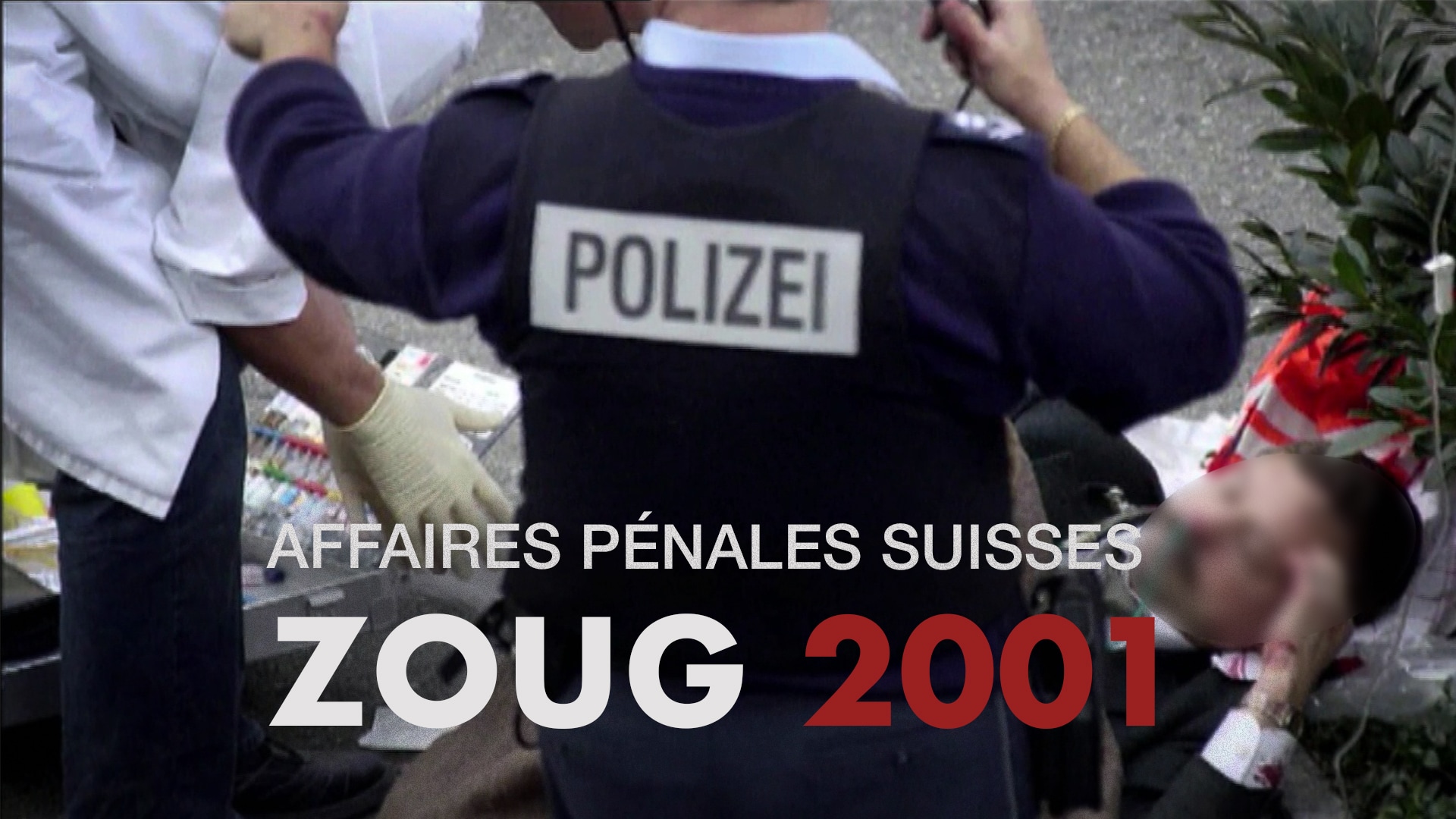 Affaires pénales suisses : Zoug 2001