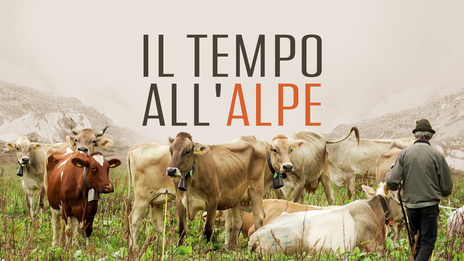 Il tempo all'alpe