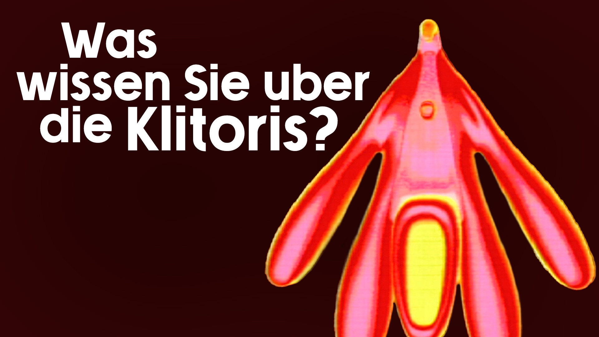 Was wissen Sie über die Klitoris?