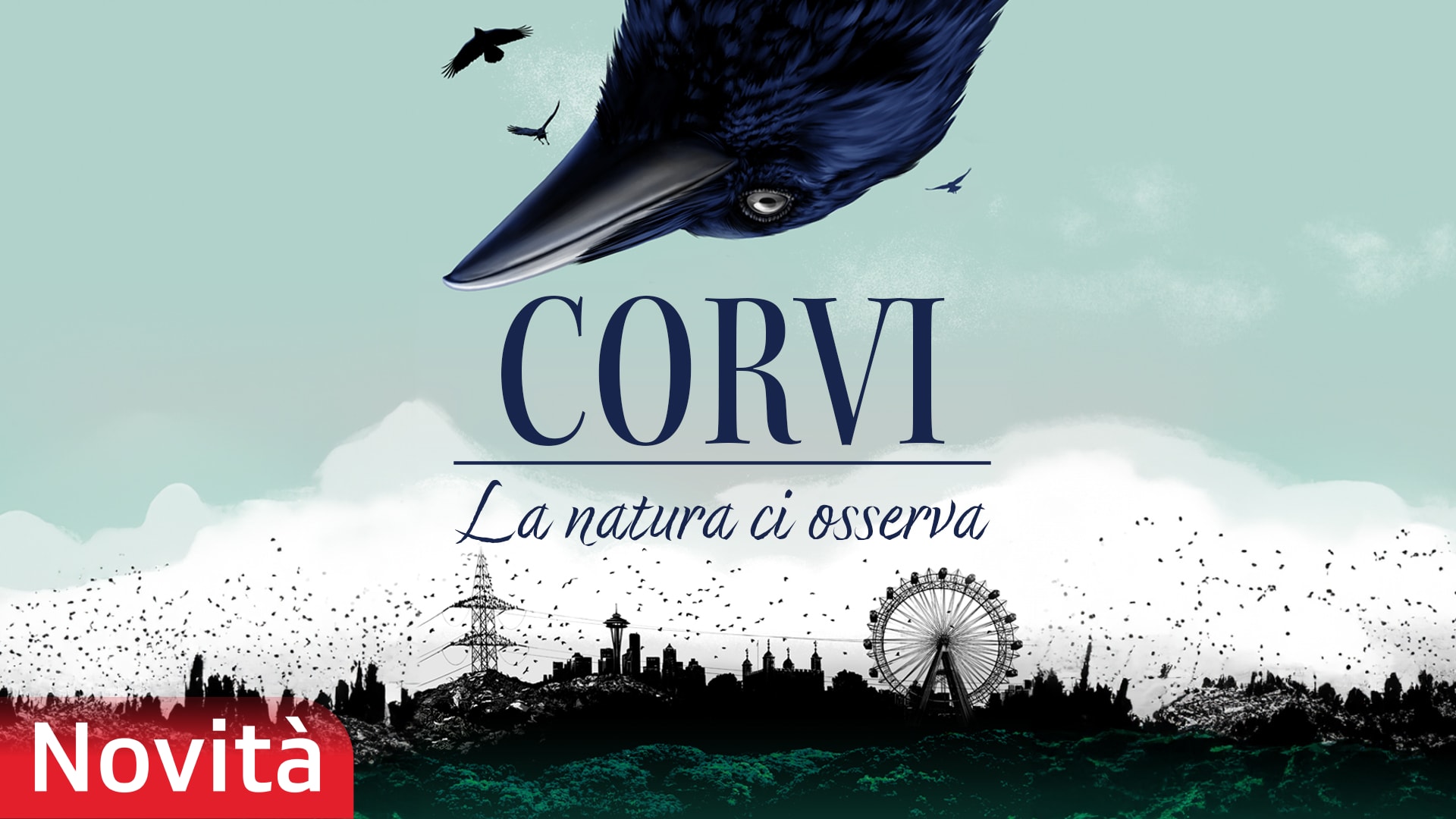 Corvi - La natura ci osserva