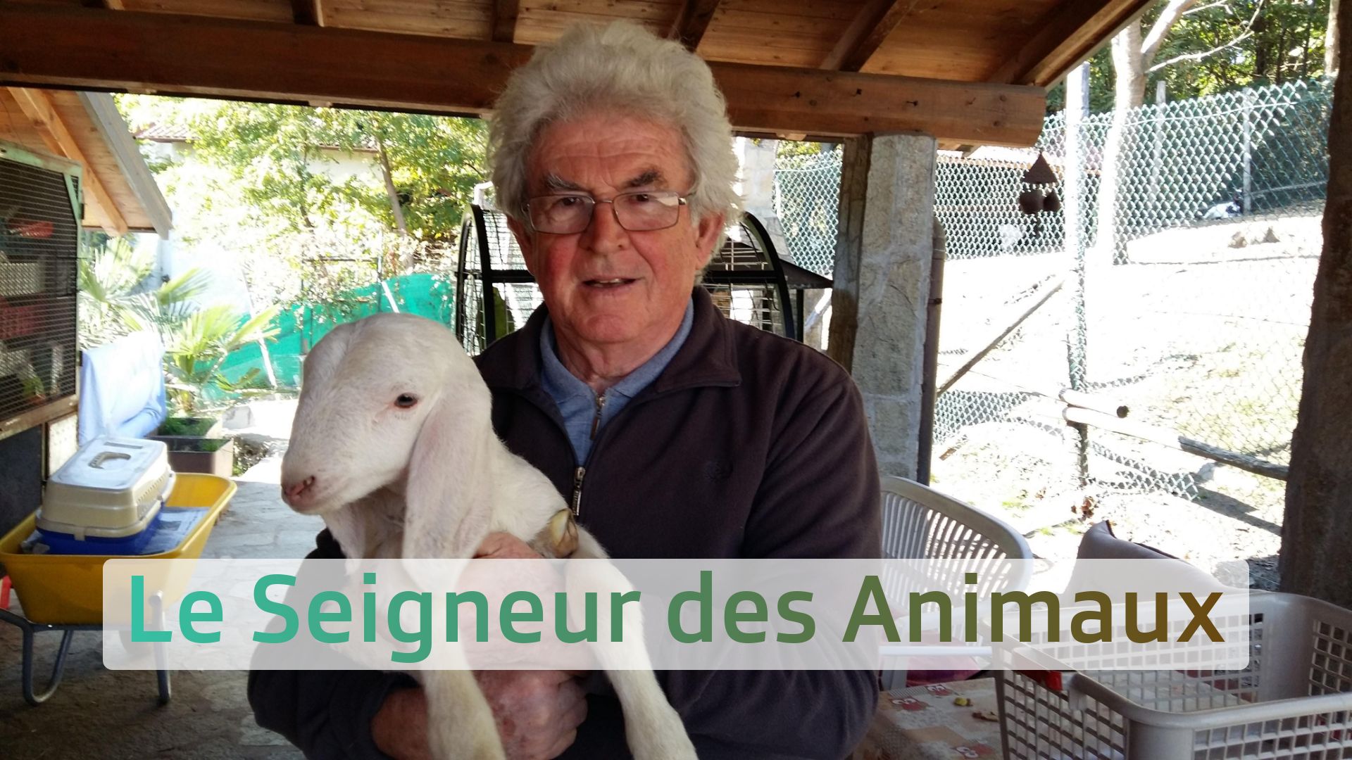 Le Seigneur des Animaux