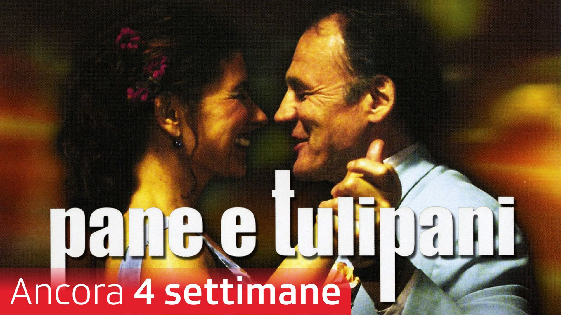 Pane e tulipani