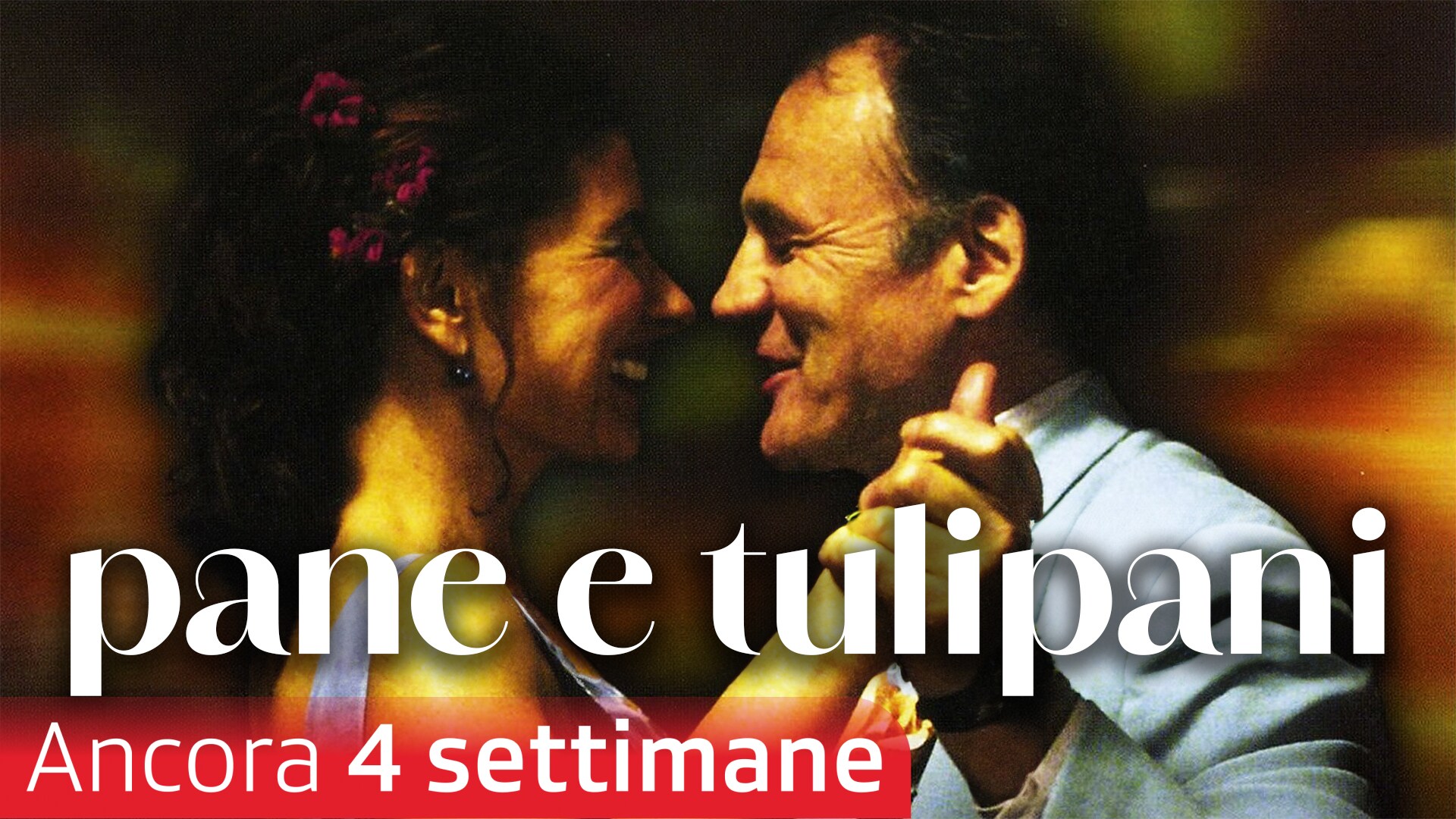 Pane e tulipani