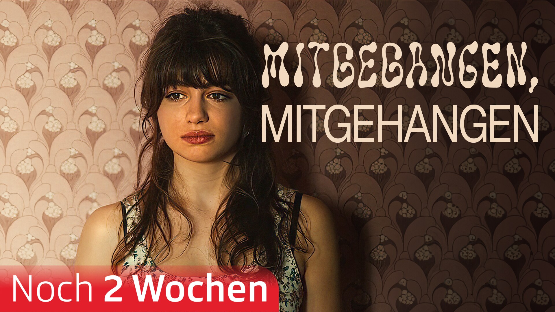Mitgegangen, mitgehangen