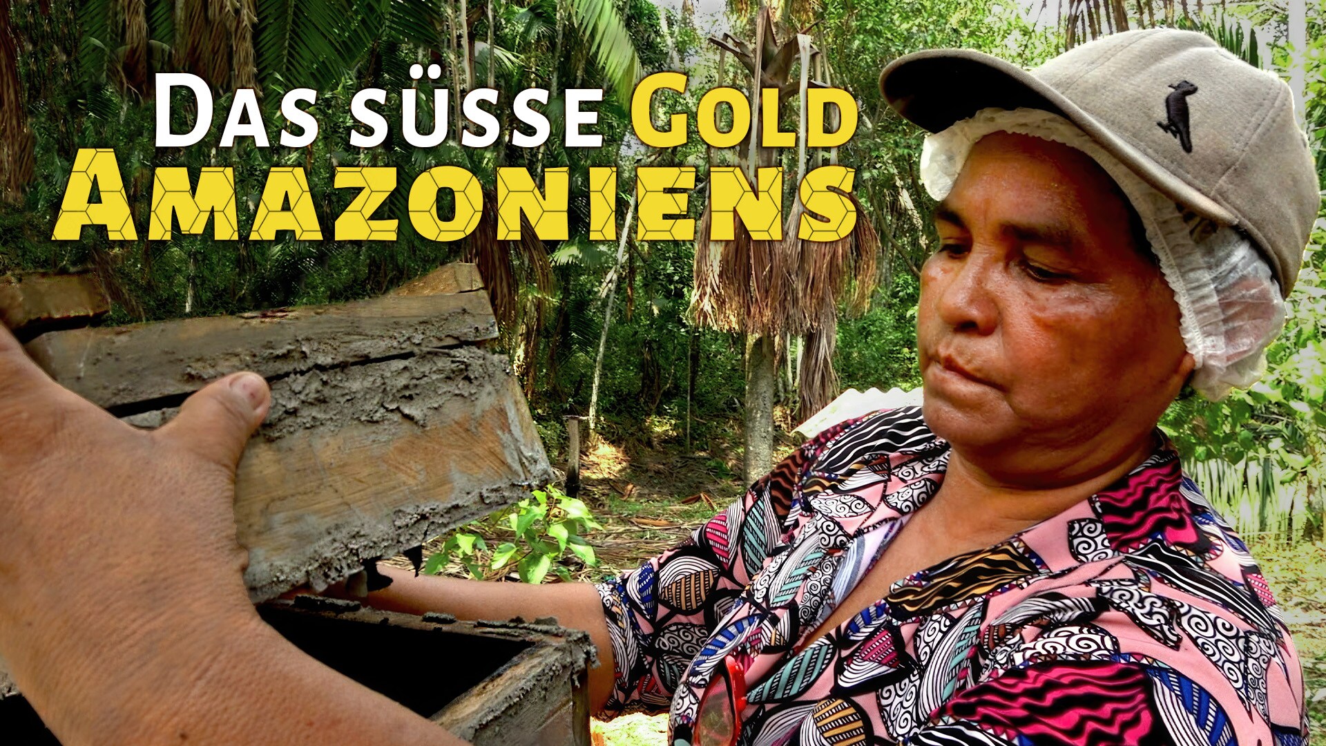 Das süsse Gold Amazoniens