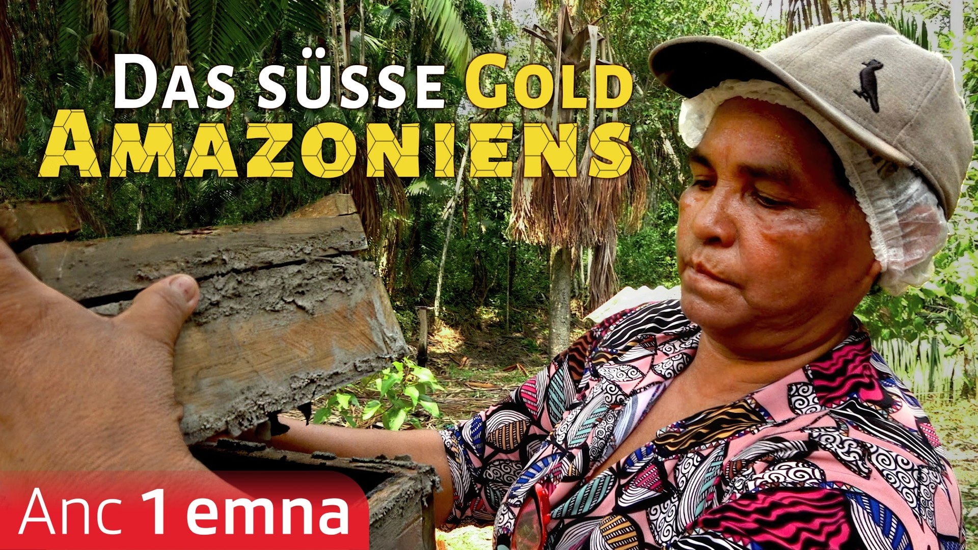 Das süsse Gold Amazoniens