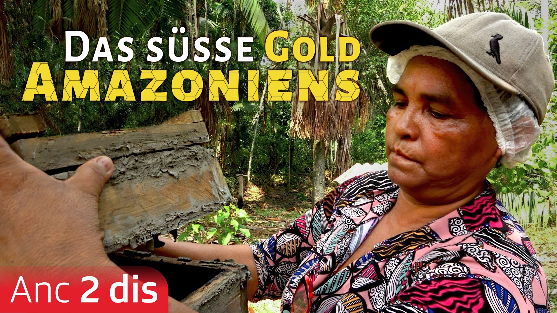 Das süsse Gold Amazoniens