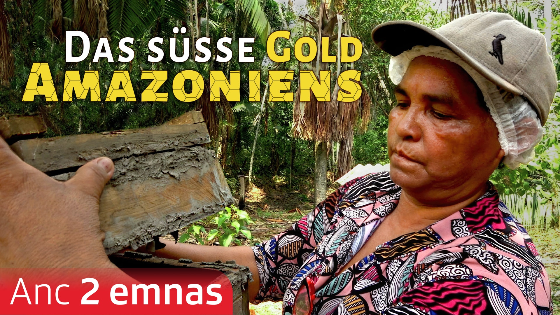 Das süsse Gold Amazoniens