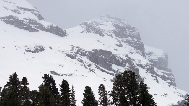 Von Altdorf nach Meiringen