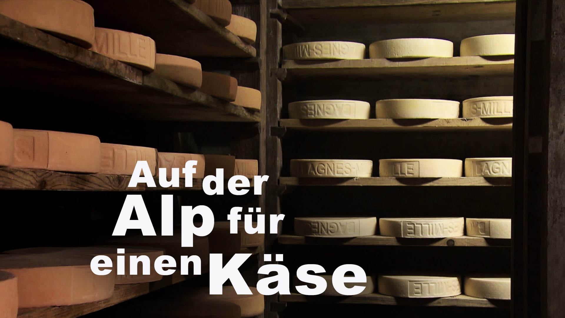 Auf der Alp für einen Käse