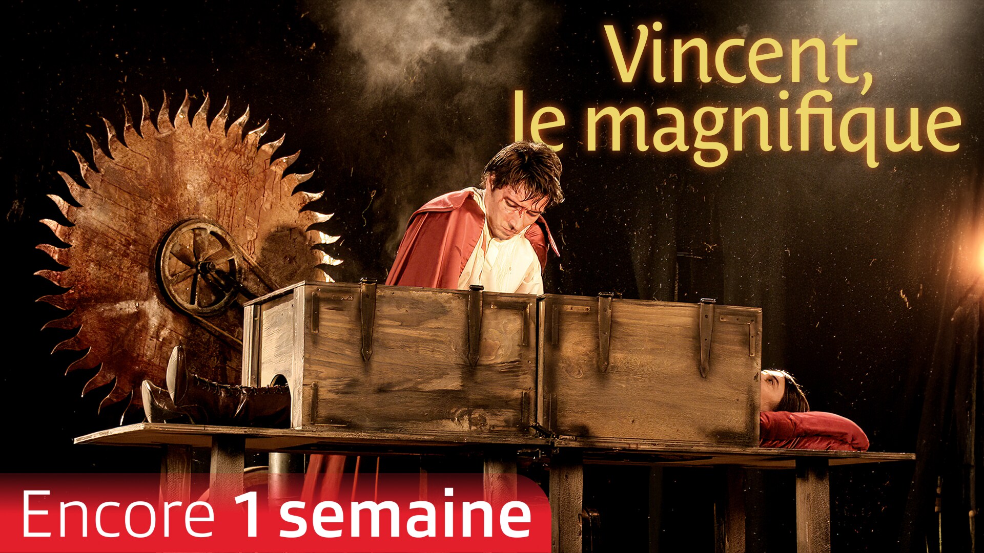 Vincent, le magnifique
