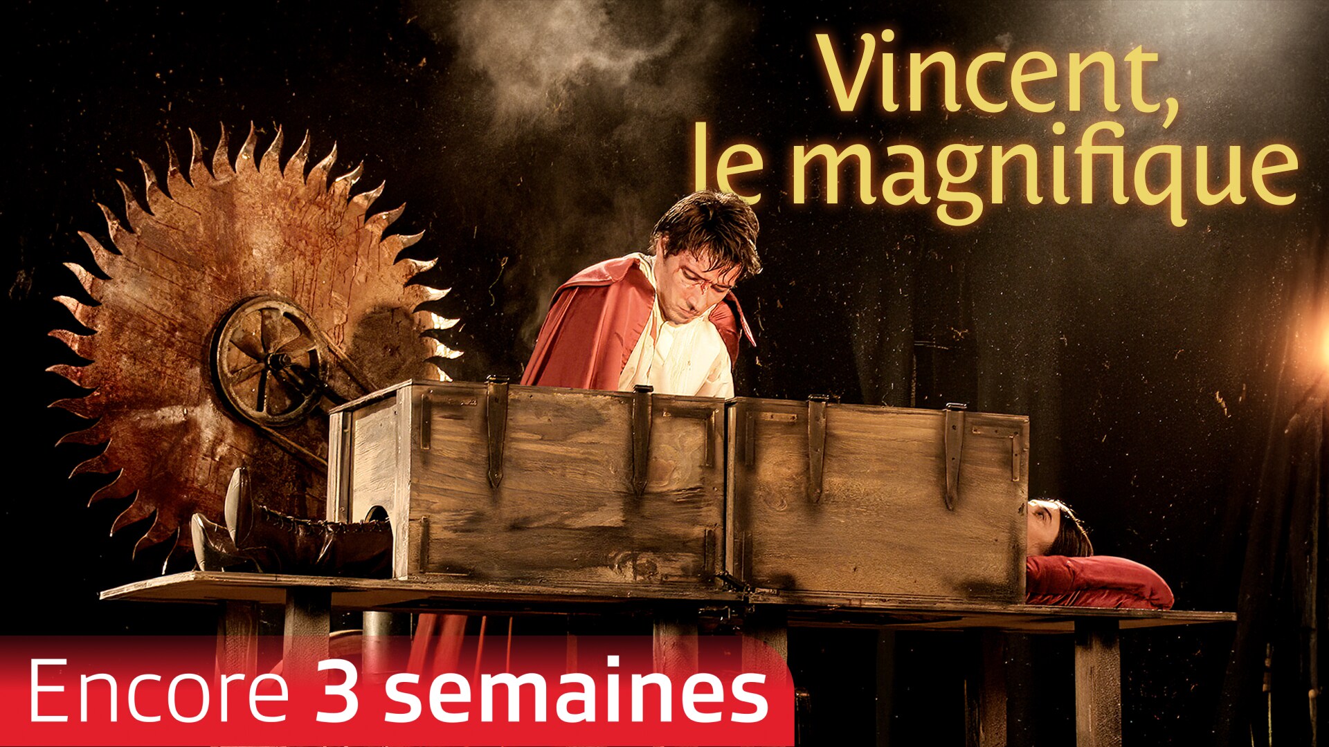 Vincent, le magnifique