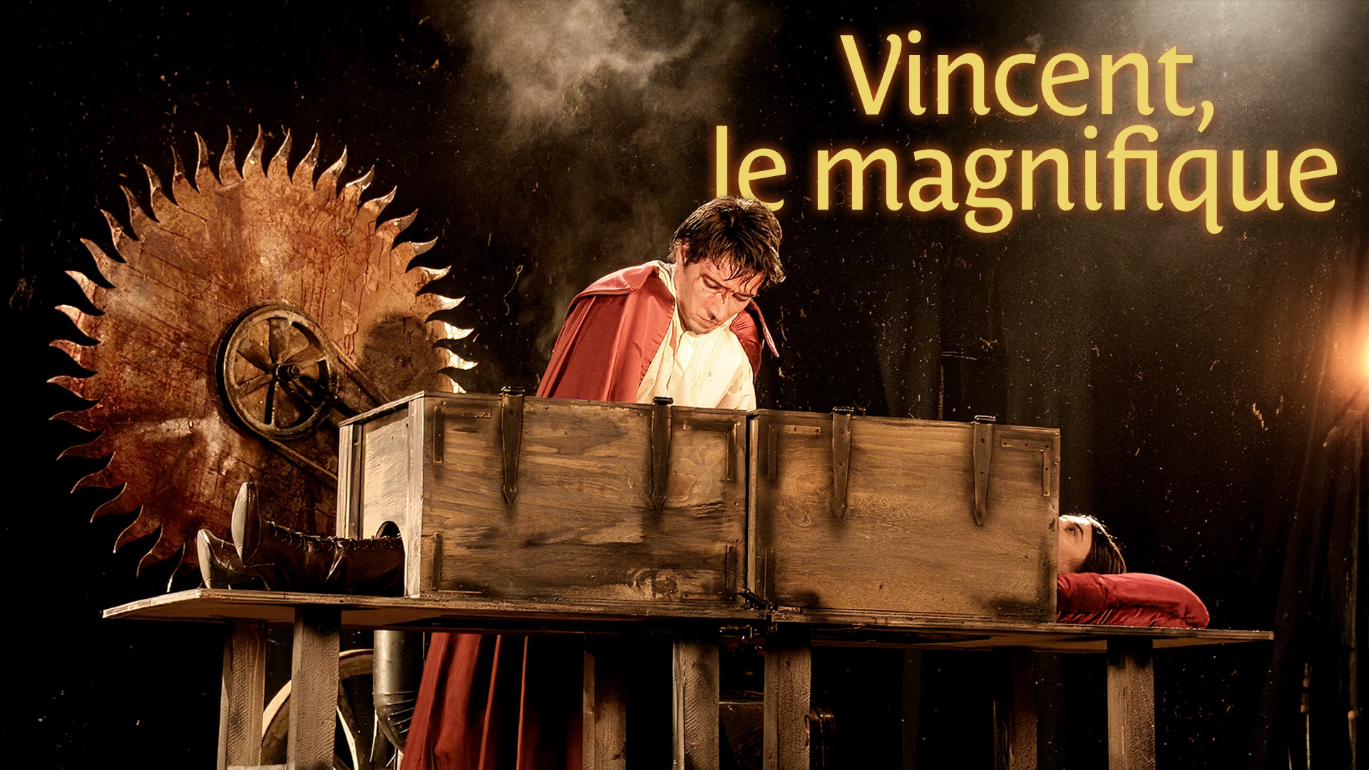 Vincent, le magnifique