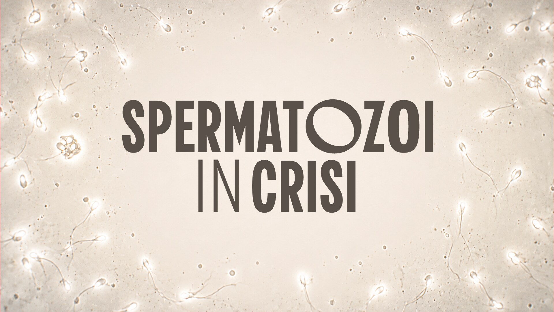Spermatozoi in crisi