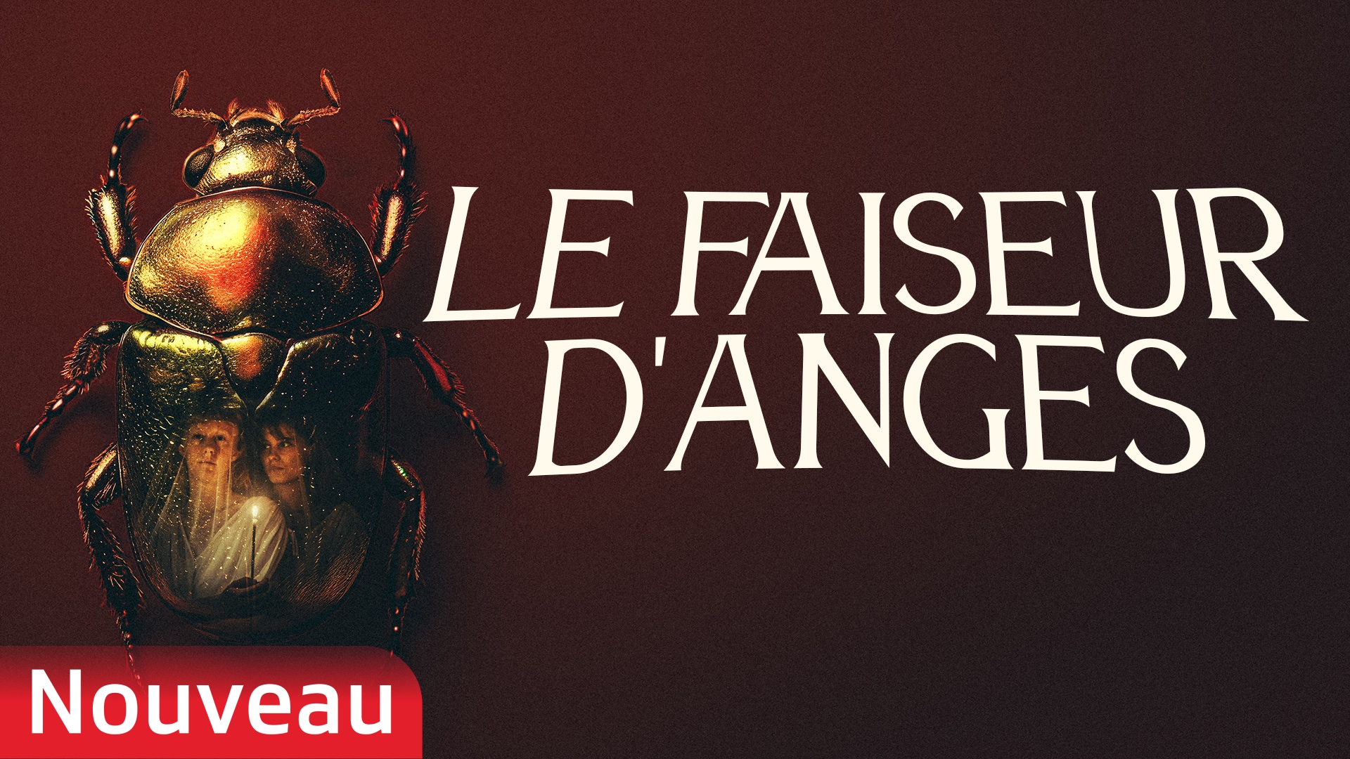 Le faiseur d'anges