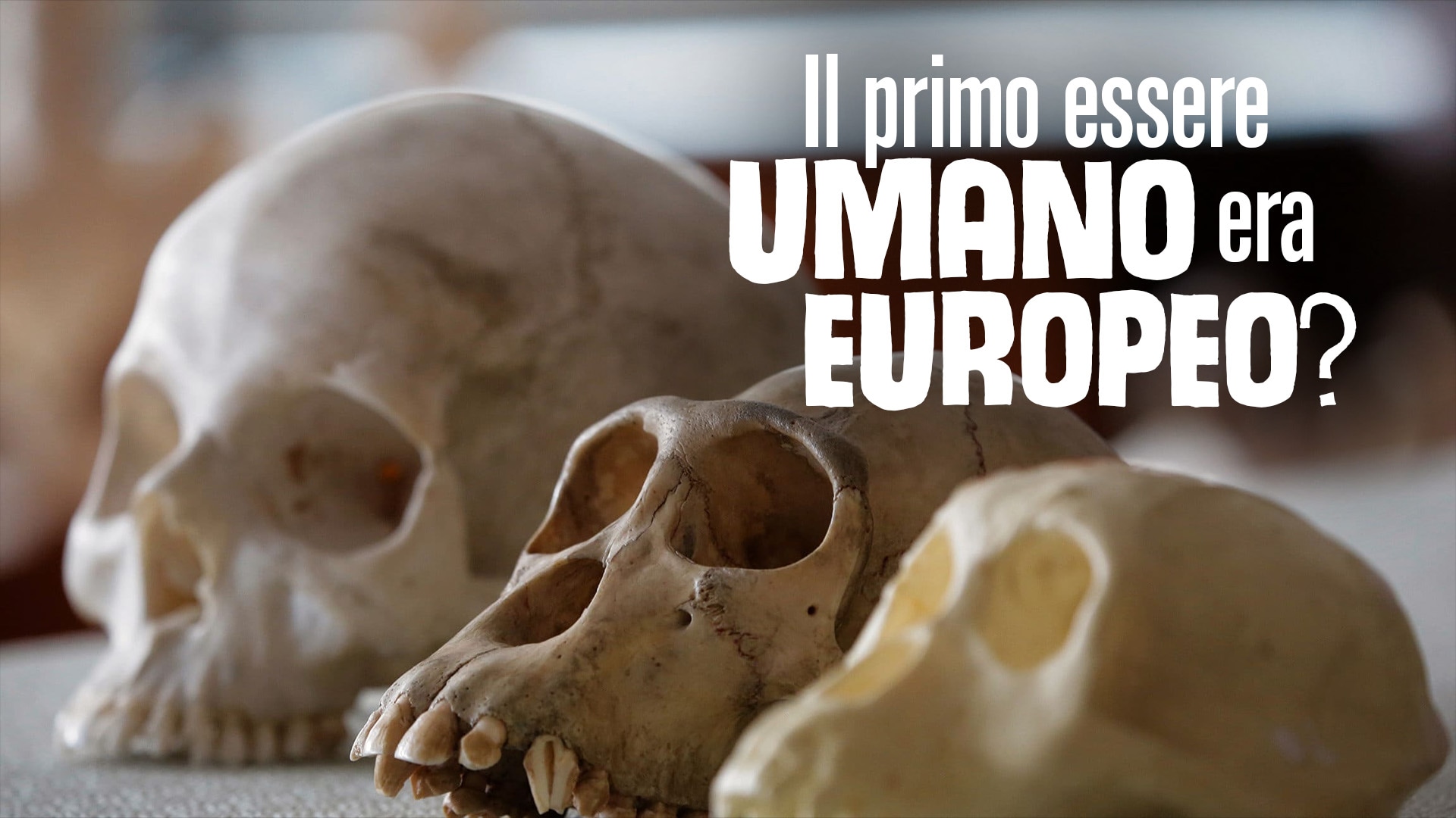 Il primo essere umano era europeo?