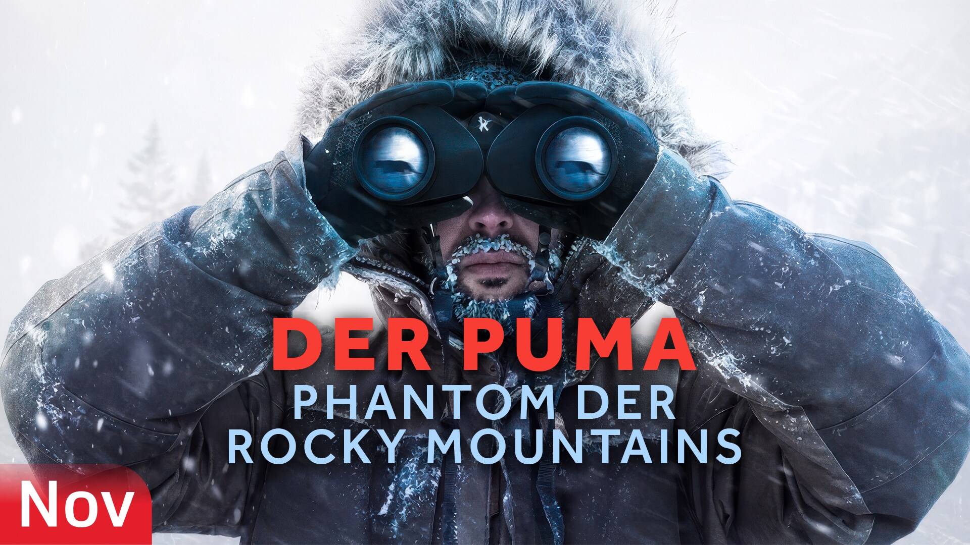 Der Puma – Phantom der Rocky Mountains