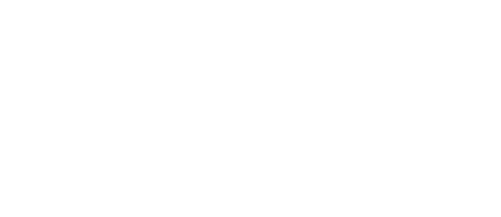Carmen Curlers