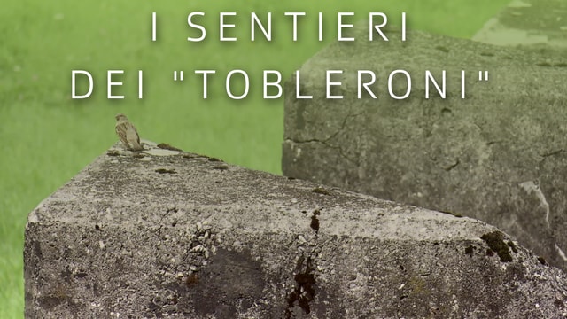 I sentieri dei "Tobleroni"