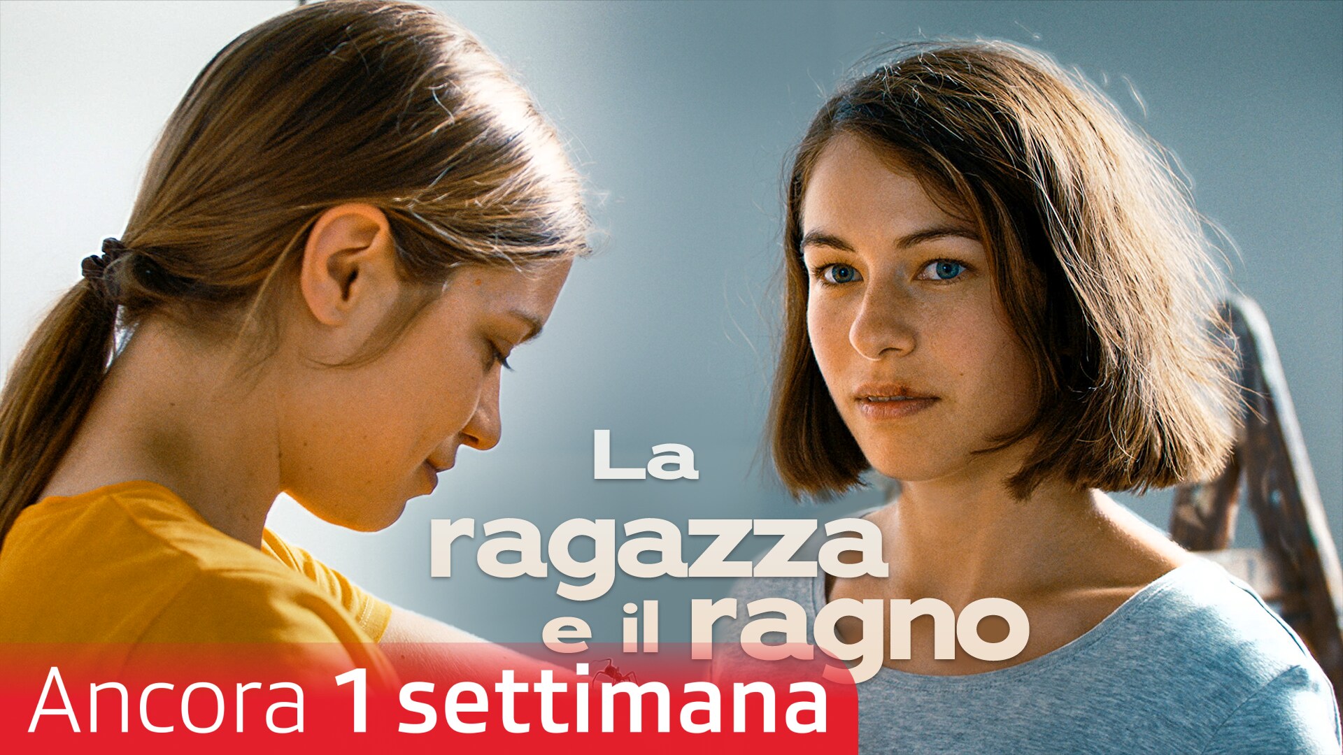 La ragazza e il ragno