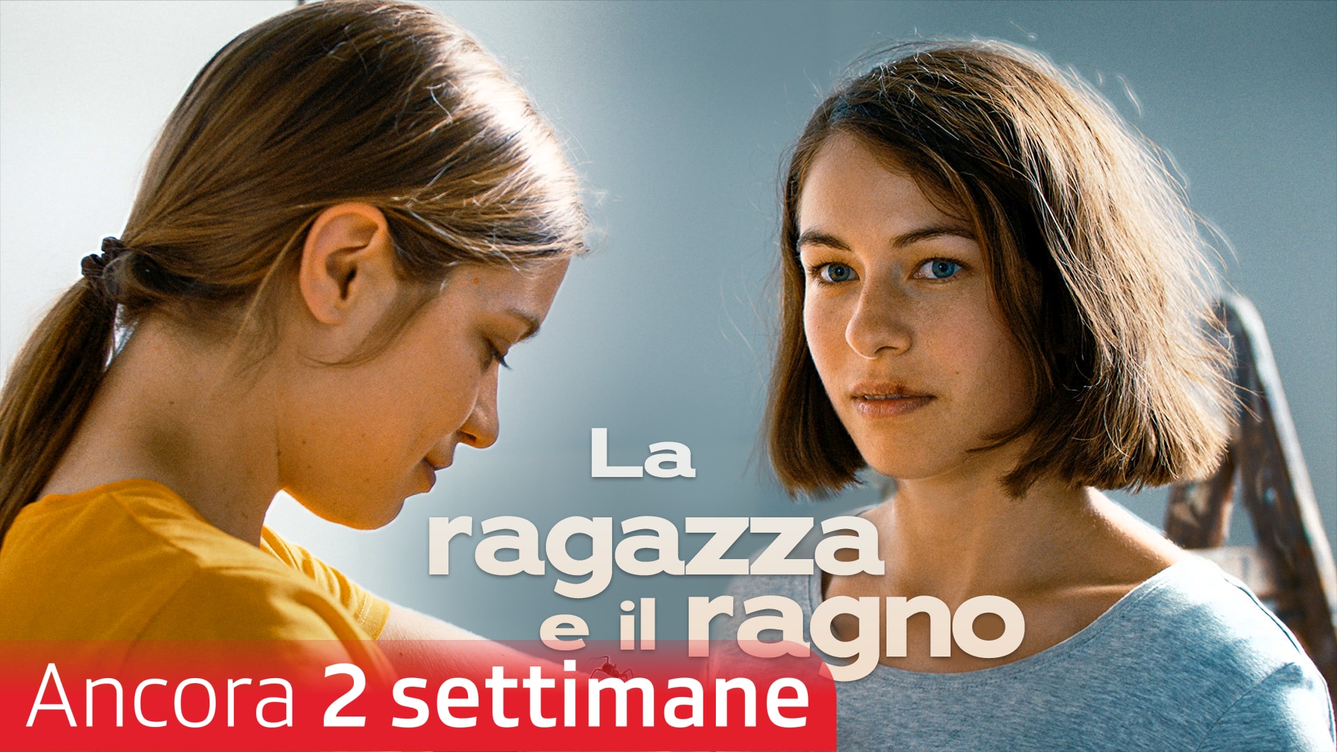 La ragazza e il ragno
