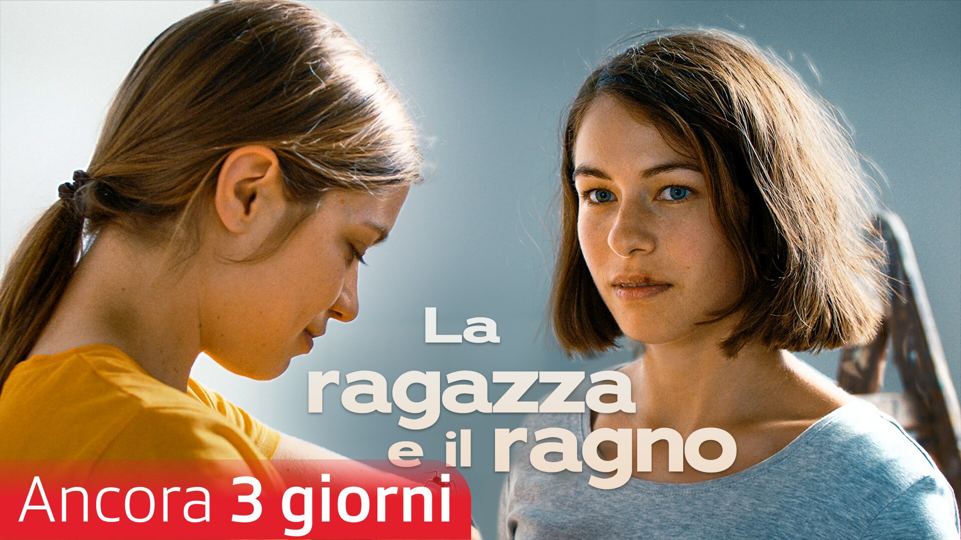 La ragazza e il ragno
