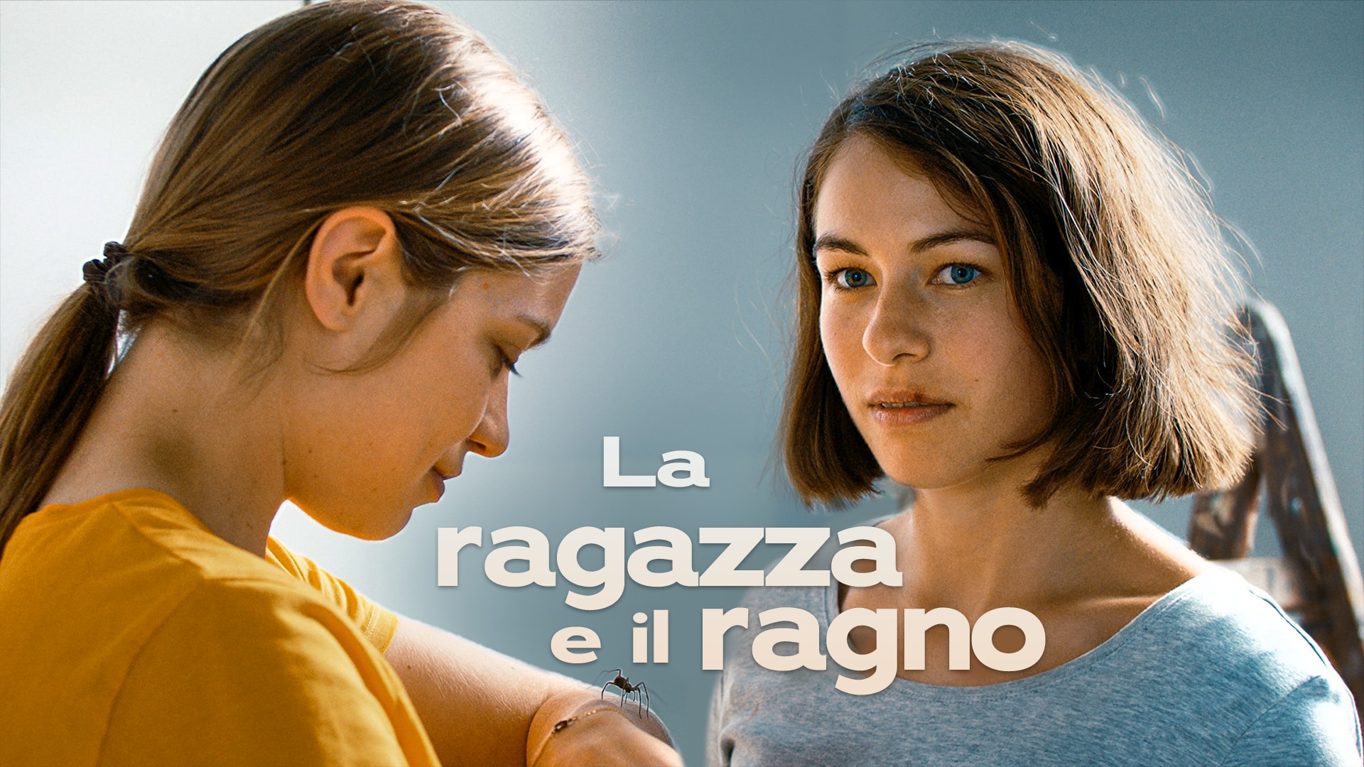 La ragazza e il ragno