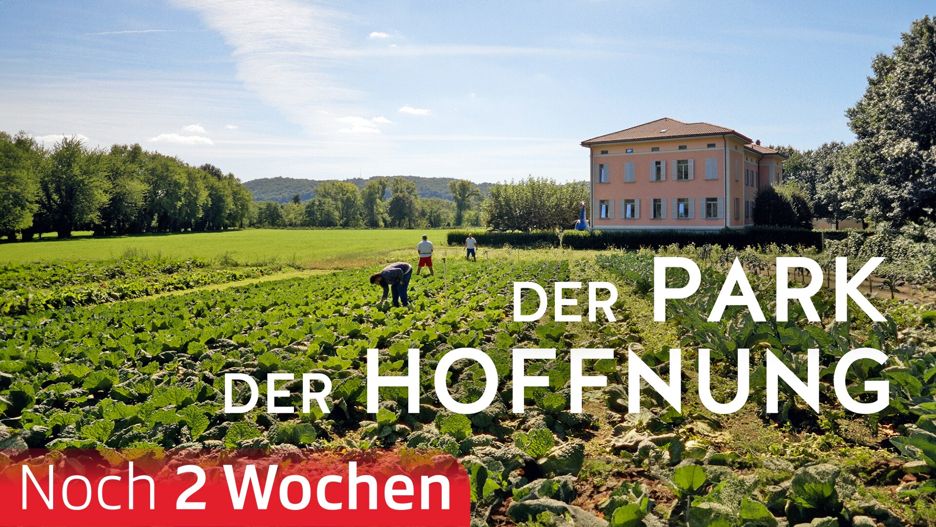 Der Park der Hoffnung